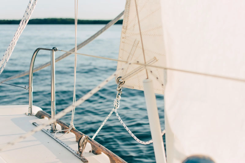 Why Startups Need to Be Like Crabs: Mastering Pivoting and Hypothesis Testing